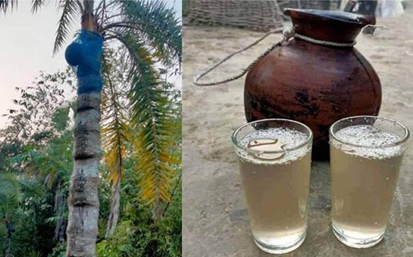 স্বাস্থ্য অধিদপ্তরের বিজ্ঞপ্তিতে খেজুরের কাঁচা রস বিক্রি বন্ধের অনুরোধ